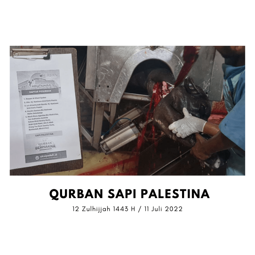 Qurban Sapi Palestina