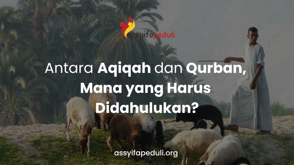 Antara Aqiqah dan Qurban, Mana yang Harus Didahulukan?