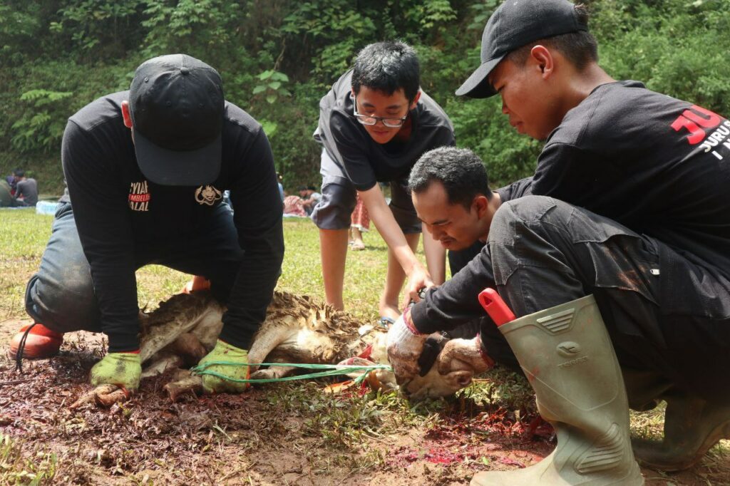 Sembelih Hewan Qurban Sendiri, Cara Assyifa Peduli Edukasi Santri