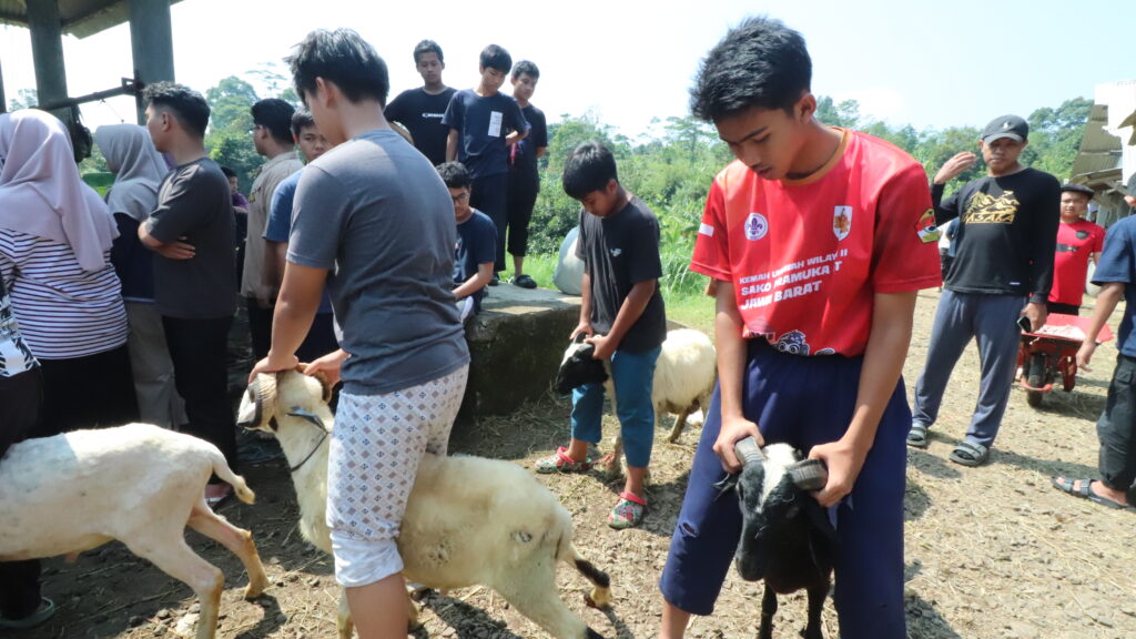 Bukti Kepercayaan Orang Tua! Ratusan Santri Berqurban Lewat Assyifa Peduli Bukti Kepercayaan Orang Tua! Ratusan Santri Berqurban Lewat Assyifa Peduli