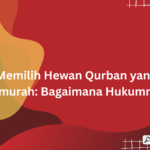 Memilih hewan qurban termurah