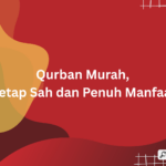 qurban murah
