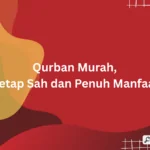 qurban murah