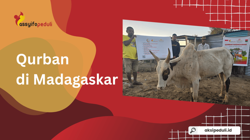 Tak Semua Orang Bisa Makan Daging Setiap Tahun: Inilah Qurban di Madagaskar