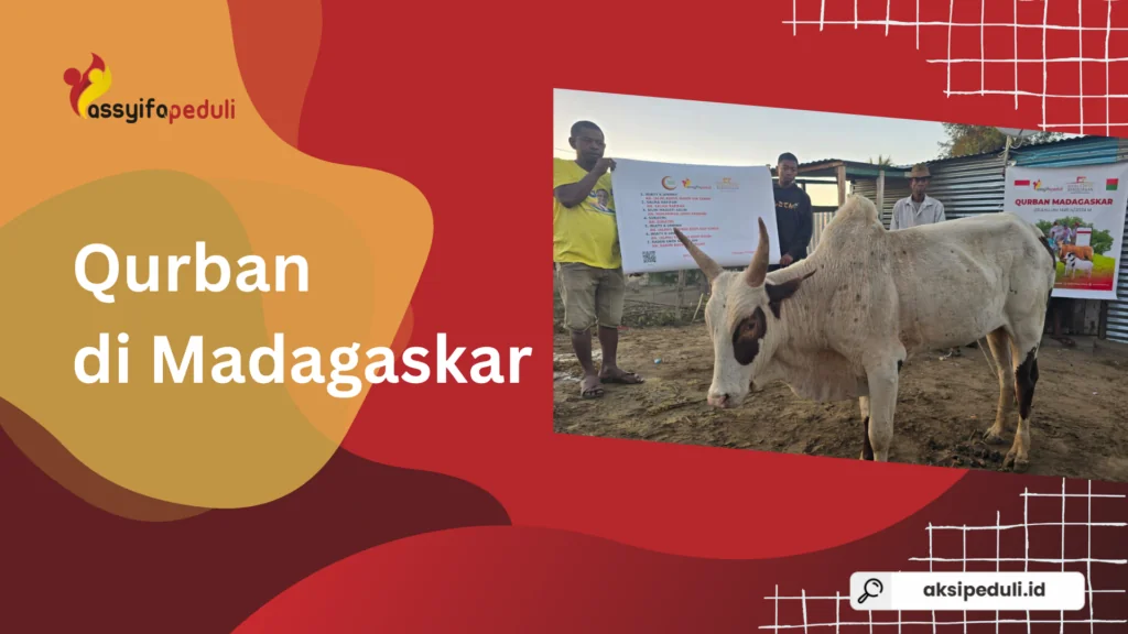 Tak Semua Orang Bisa Makan Daging Setiap Tahun: Inilah Qurban di Madagaskar