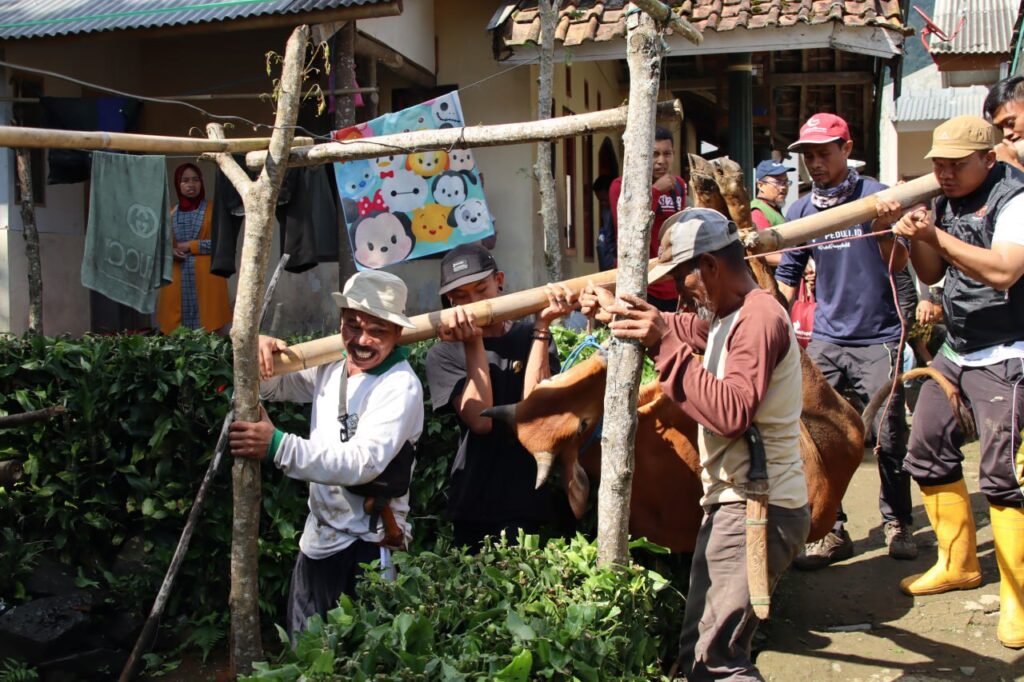 Qurban 2026: Momentum Berbagi, Menguatkan Kepedulian