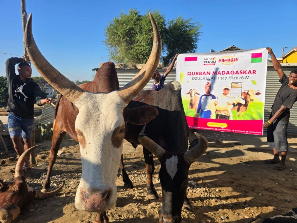 Penyaluran Qurban Madagaskar 1447 H