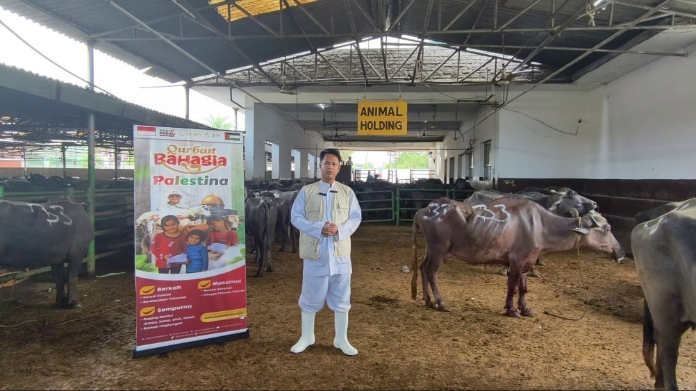Kebahagiaan Iduladha di Bumi Palestina Berkat Qurban Sapi Bunda Asmaul Husna