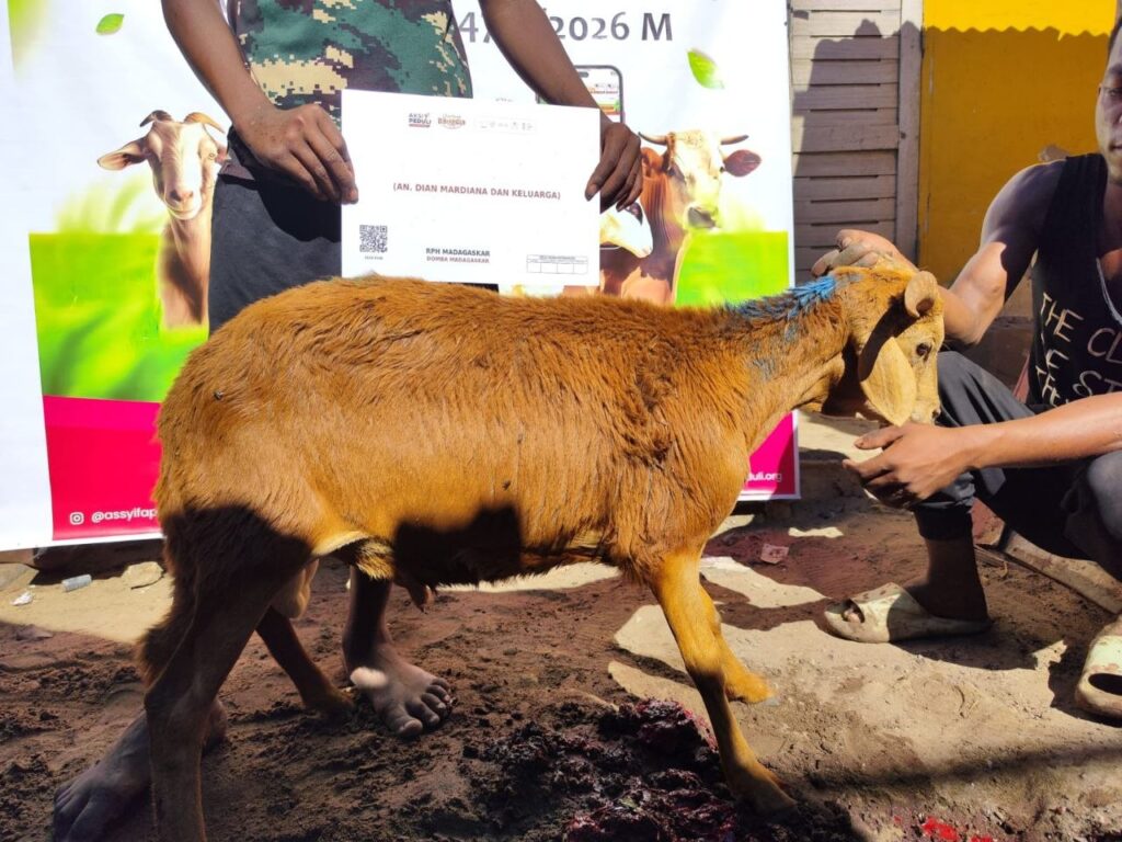 Membentang Ukhuwah Lintas Benua: Berbagi Berkah Qurban Bersama Warga Madagaskar