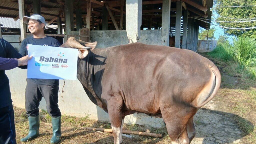 PT. Dahana dan LAZ Assyifa Peduli Perkuat Kolaborasi Qurban 1447 H untuk Tebar Manfaat Lebih Luas
