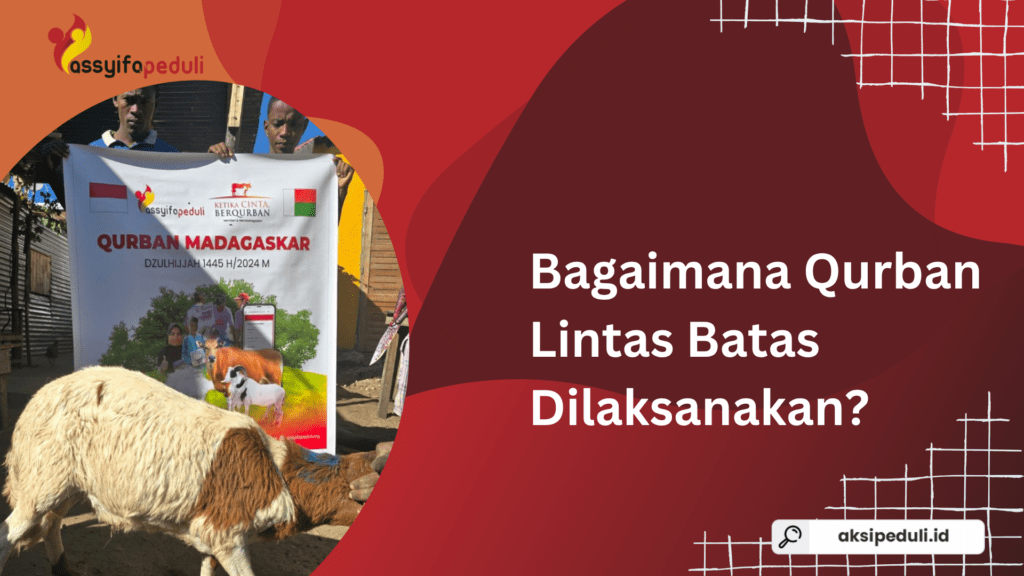 Bagaimana Proses Qurban Disalurkan ke Madagaskar?