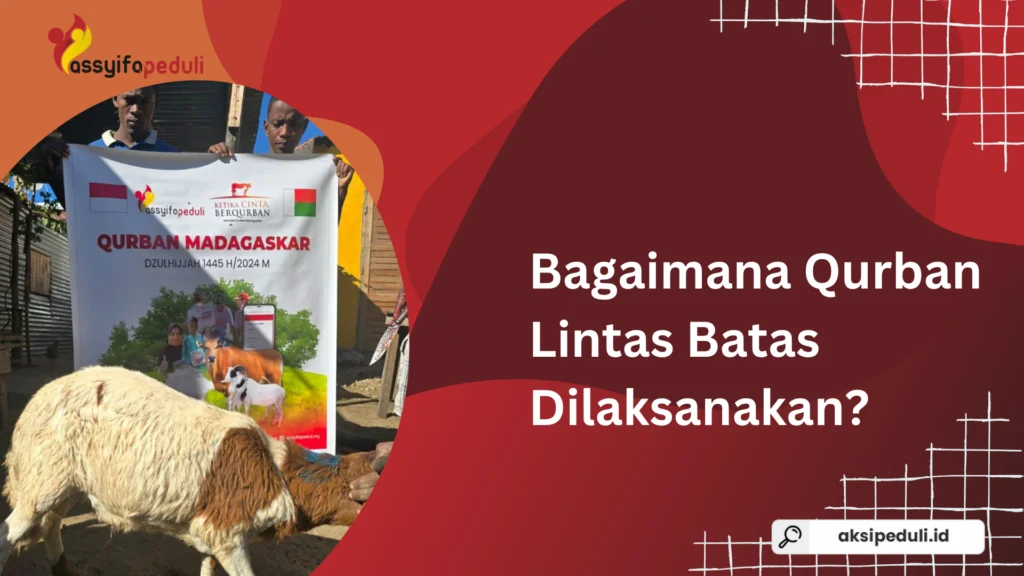 Bagaimana Proses Qurban Lintas Batas Dilaksanakan?
