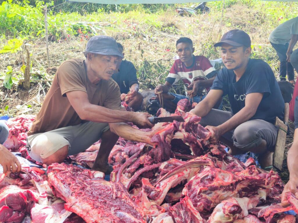 Alhamdulillah, Amanah Qurban Anda Telah Hadirkan Senyum untuk 400 Warga Pelosok NTT!